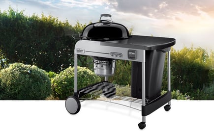 weber_grill_for_braun.jpg